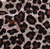 Leopard / 1 Pair / 8/S
